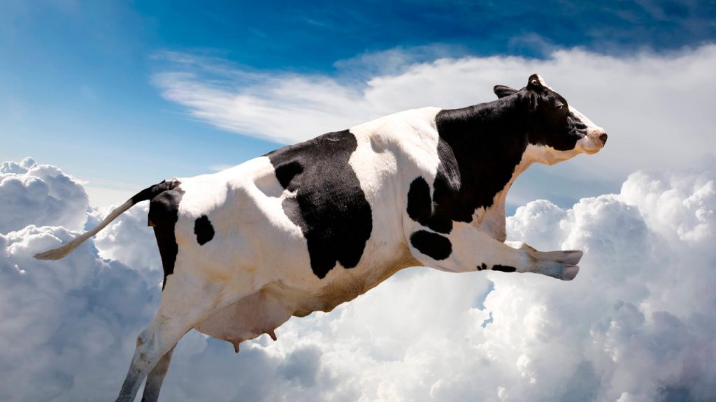 Santo Tomás de Aquino e a vaca no alto céu